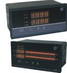 HR-WP-XD823-022-36/36-N-2P雙路數(shù)顯表