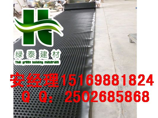 12高車庫(kù)種植排水板六盤水&銅仁地下室排水
