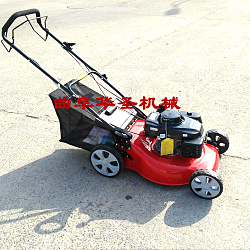 自走式背負(fù)式割草機(jī)價(jià)格價(jià)格手推式草坪機(jī)廠家廣元