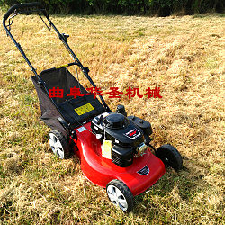 手推式草坪機(jī)廠家自走式多功能割草機(jī)價格滄州