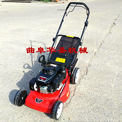 郴州自走式小型割草機(jī)價(jià)格價(jià)格手推式草坪機(jī)廠家