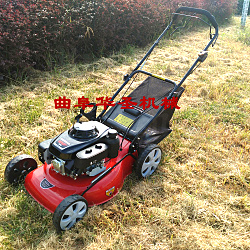 手推式草坪機(jī)廠家臨滄自走式割草機(jī)視頻價格