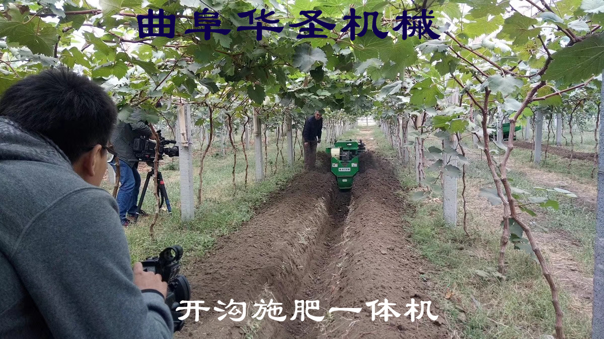 樂(lè)山果園開(kāi)溝施肥一體機(jī)田園管理機(jī)圖片