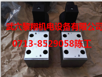 W2N22SR-6AB3 24V DC瑞士布赫閥