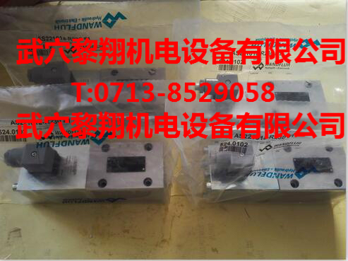 AS22061A-G24大量現(xiàn)貨萬(wàn)福樂(lè)