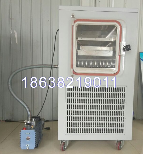 低溫干燥冬蟲(chóng)夏草LGJ-10FD真空冷凍干燥機(jī)