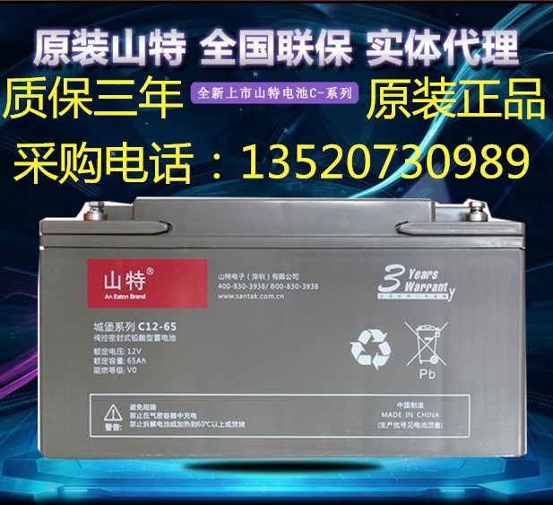 山特蓄電池12V65AH