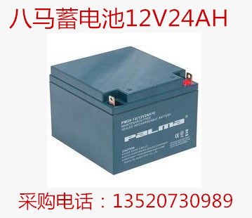 八馬電池12V24AH型號(hào)齊全