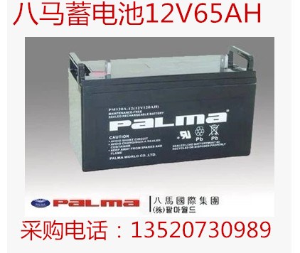 八馬電池12V100AH型號(hào)齊全