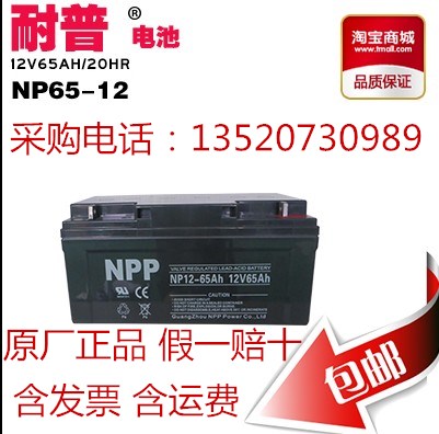 耐普蓄電池NP12-65廠家報(bào)價(jià)
