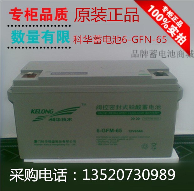 科華蓄電池6-GFM-65銀行專用