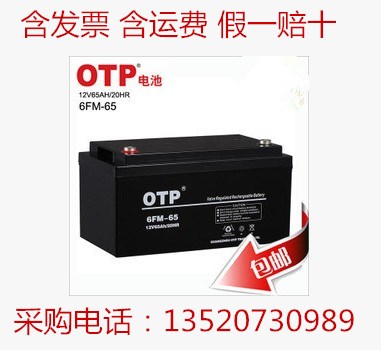 OTP蓄電池6FM-65報價/技術參數(shù)