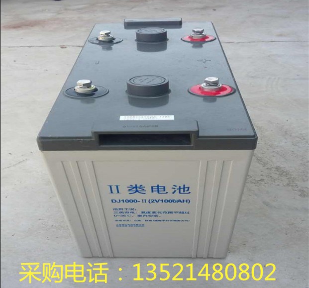 理士蓄電池DJ1000 閥控式密封電池2V1000ah原廠現(xiàn)貨
