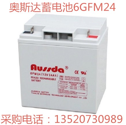 石河子市奧斯達(dá)蓄電池6FM24/12V24ah