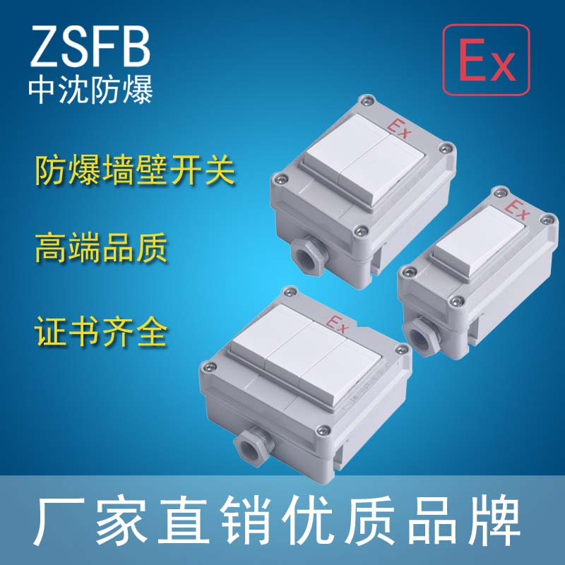 防爆墻壁照明開關(guān)SWB-10A/220V86型一開二開三開