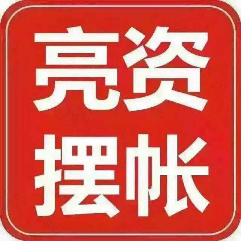 全國(guó)企業(yè)驗(yàn)資擺賬顯賬銀行沖賬辦理