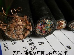 MY橡套電纜標(biāo)準(zhǔn)MYPTJ煤礦高壓電纜