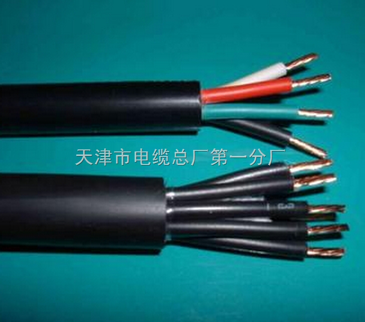 DJVVP NH-DJYVP22阻燃儀表電纜廠家