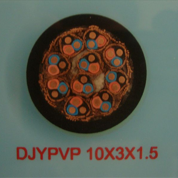 DJYP2V2*2*1.5銅帶分計算機電纜產品新聞