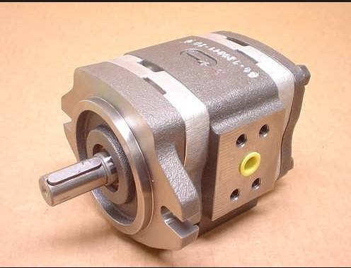 莘默BUCHER	AP300/31-200/8,5 D 2218