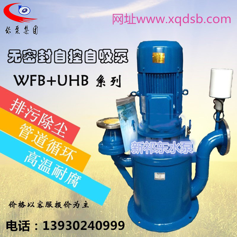 新祁東無(wú)密封自控自吸泵清水泵化工泵防腐泵離心泵