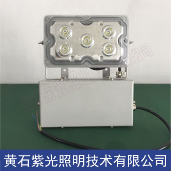 NFE9178固態(tài)長壽型免維護應急燈廠家