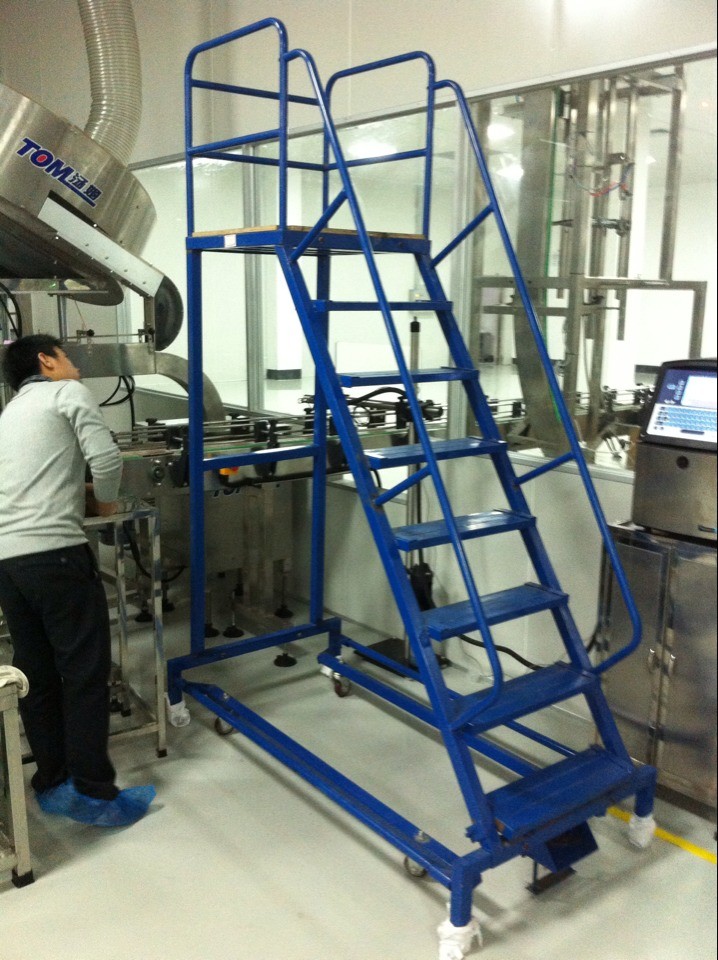 直銷福田登高梯，注塑機上料登高平臺梯，廠家按規(guī)格定制