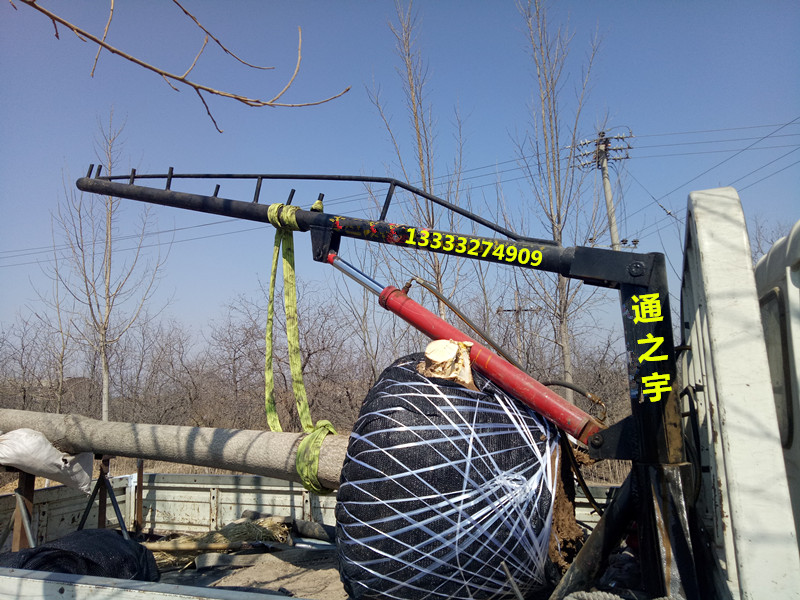 小吊車(chē)小吊機(jī)隨車(chē)吊定做吊運(yùn)機(jī)汽車(chē)吊微型吊機(jī)小型吊車(chē)小型吊機(jī)