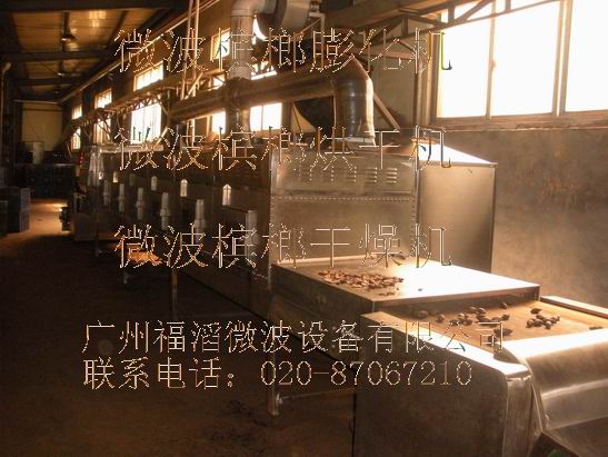 微波檳榔膨化機、微波檳榔烘干機、微波檳榔干燥機