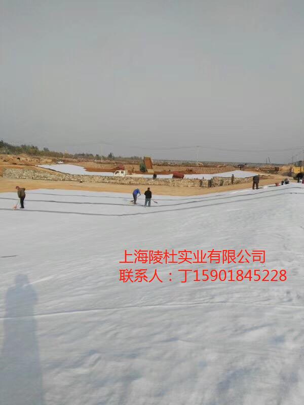 江蘇天然鈉基膨潤(rùn)土防水毯