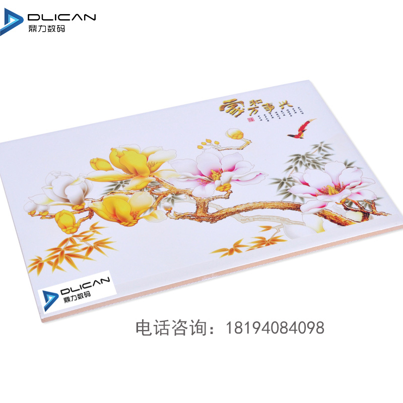 鼎力瓷磚打印機(jī) 3D瓷磚背景墻打印機(jī) 廠家直銷