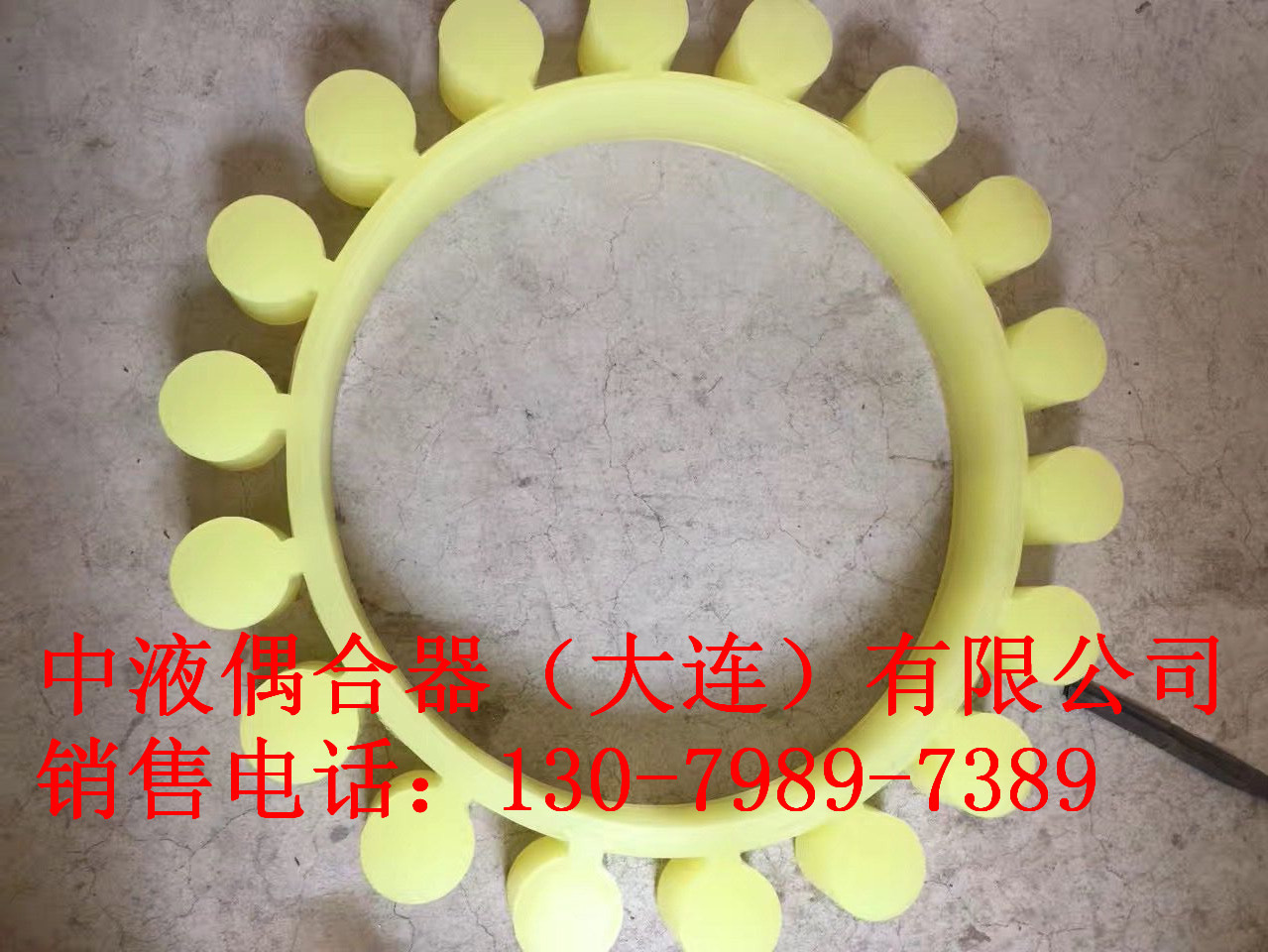 承德質優(yōu)偶合器配件-彈性盤16瓣現貨，歡迎咨詢！