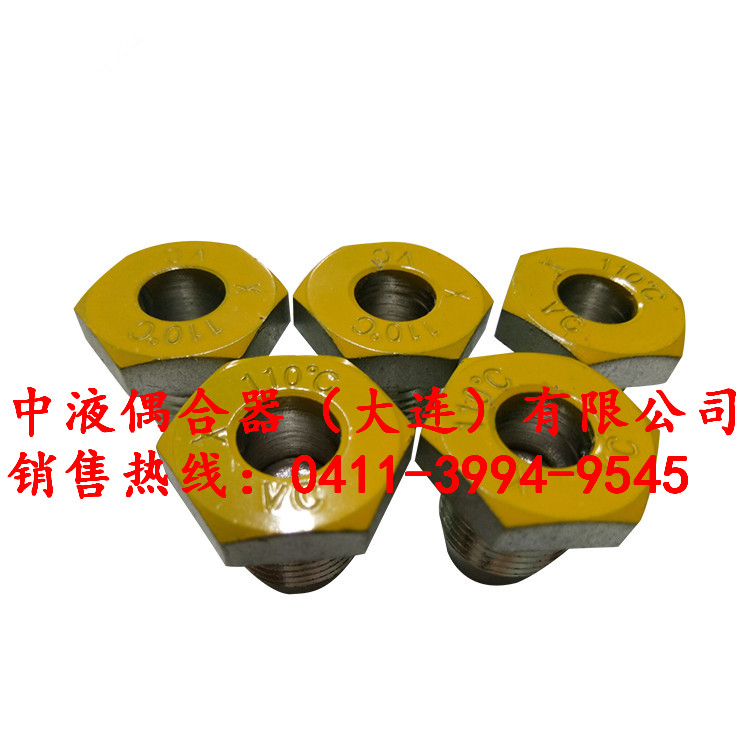 廊坊電廠給水泵液力偶合器配件易熔塞M20*1.5