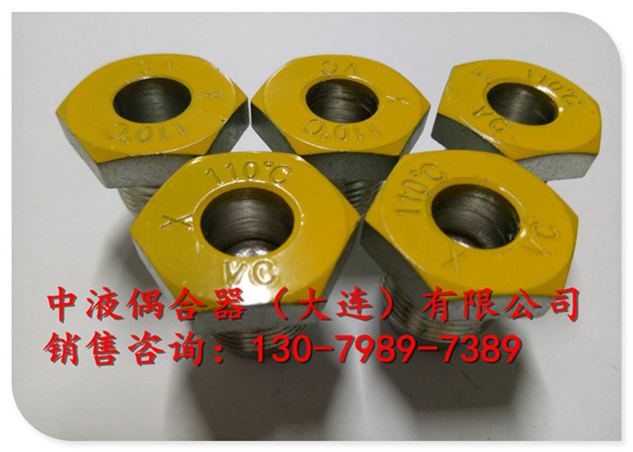 鄂州電廠給水泵液力偶合器配件易熔塞M24*1.5