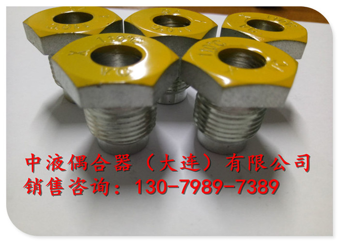 臨沂電廠給水泵液力偶合器配件易熔塞M24*1.5