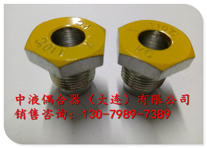 恩施電廠給水泵液力偶合器配件易熔塞M22*1.5