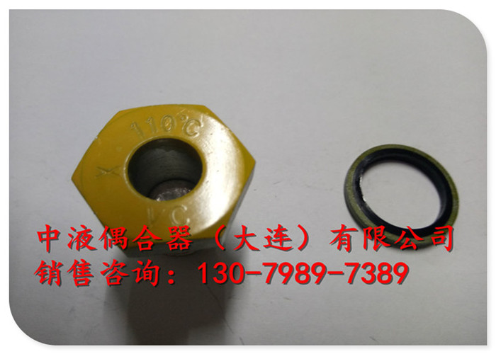阿拉善電廠給水泵液力偶合器配件易熔塞M18*1.5