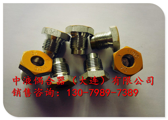 武漢電廠給水泵液力偶合器配件易熔塞M20*1.5
