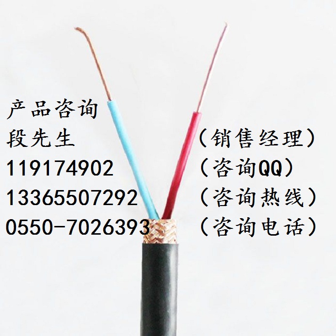 ZR-DJFFRP-1*2*1阻燃計(jì)算機(jī)電纜