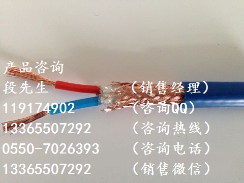 ia-DJYVP2本安計(jì)算機(jī)電纜供應(yīng)商