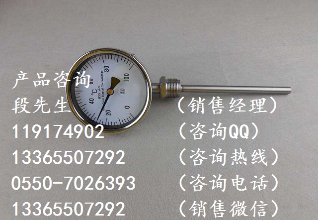 西藏徑向型雙金屬溫度計(jì)供應(yīng)商