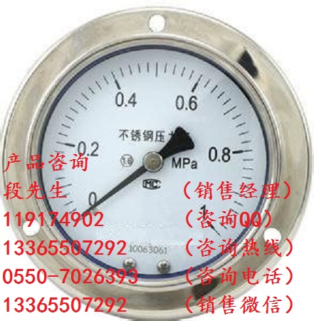 YN-60B耐震壓力表結(jié)構(gòu)形式