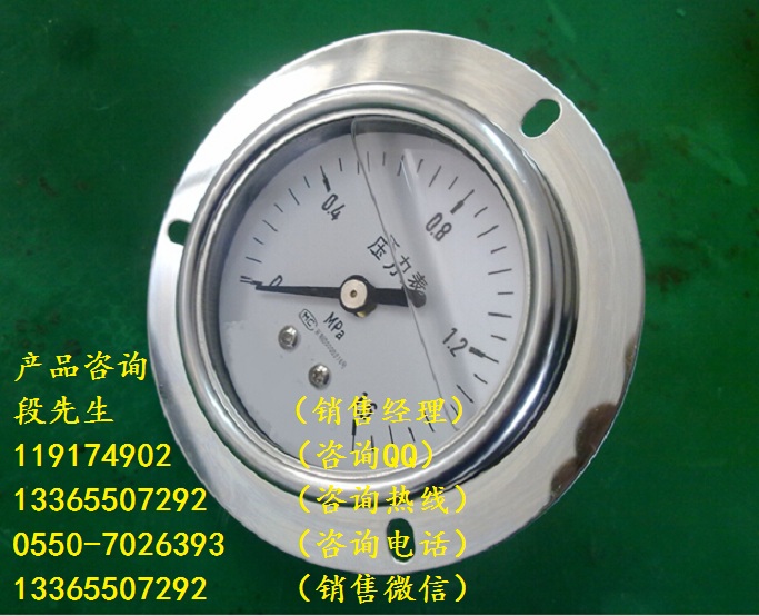 YN-100耐震壓力表精度