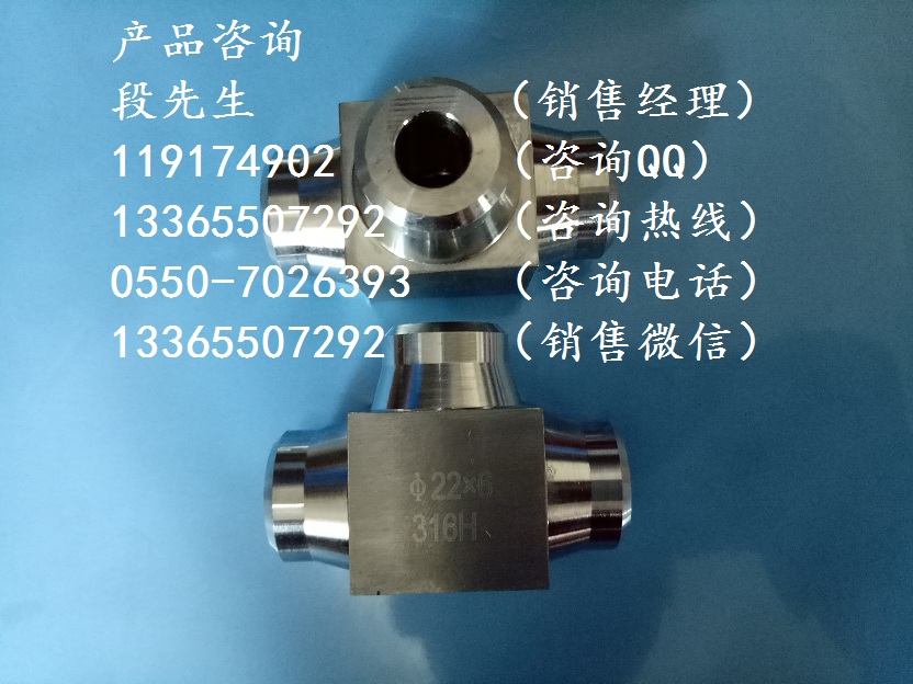 304SS對焊式三通接頭