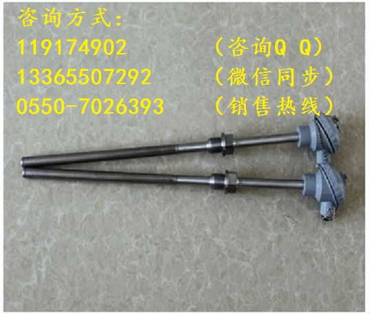 WZP2-230NM電廠用耐磨熱電偶