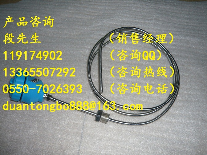 WZPK2-338鎧裝熱電阻