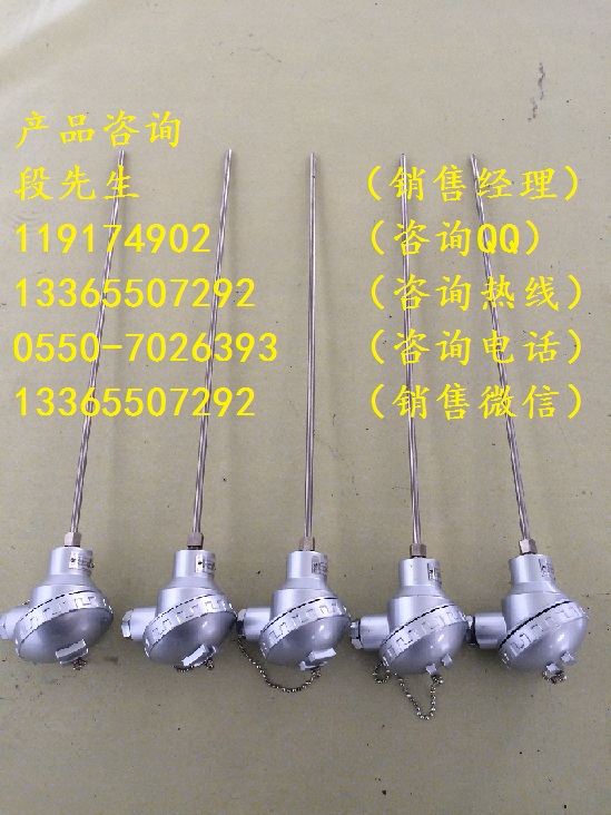 WZPK-135鎧裝熱電阻