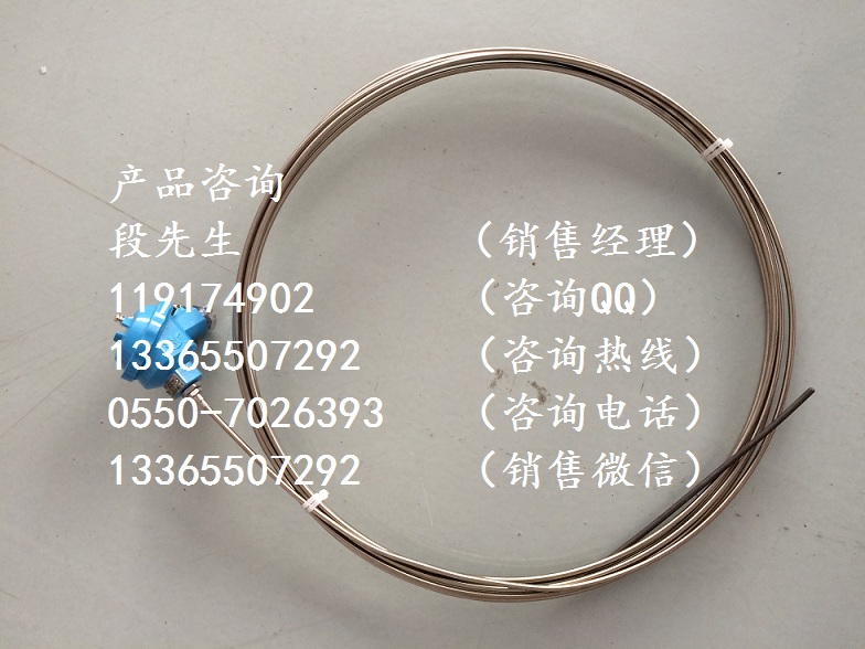 WZPK-335防水式鎧裝熱電阻