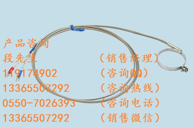WZPK-538防水式鎧裝熱電阻