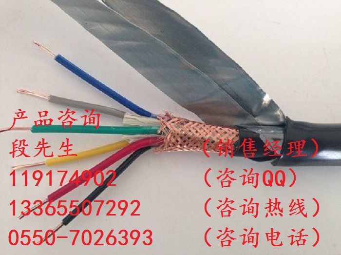 直銷阻燃控制電纜ZR-KVV22P2、ZBN-KFF批發(fā)價(jià)